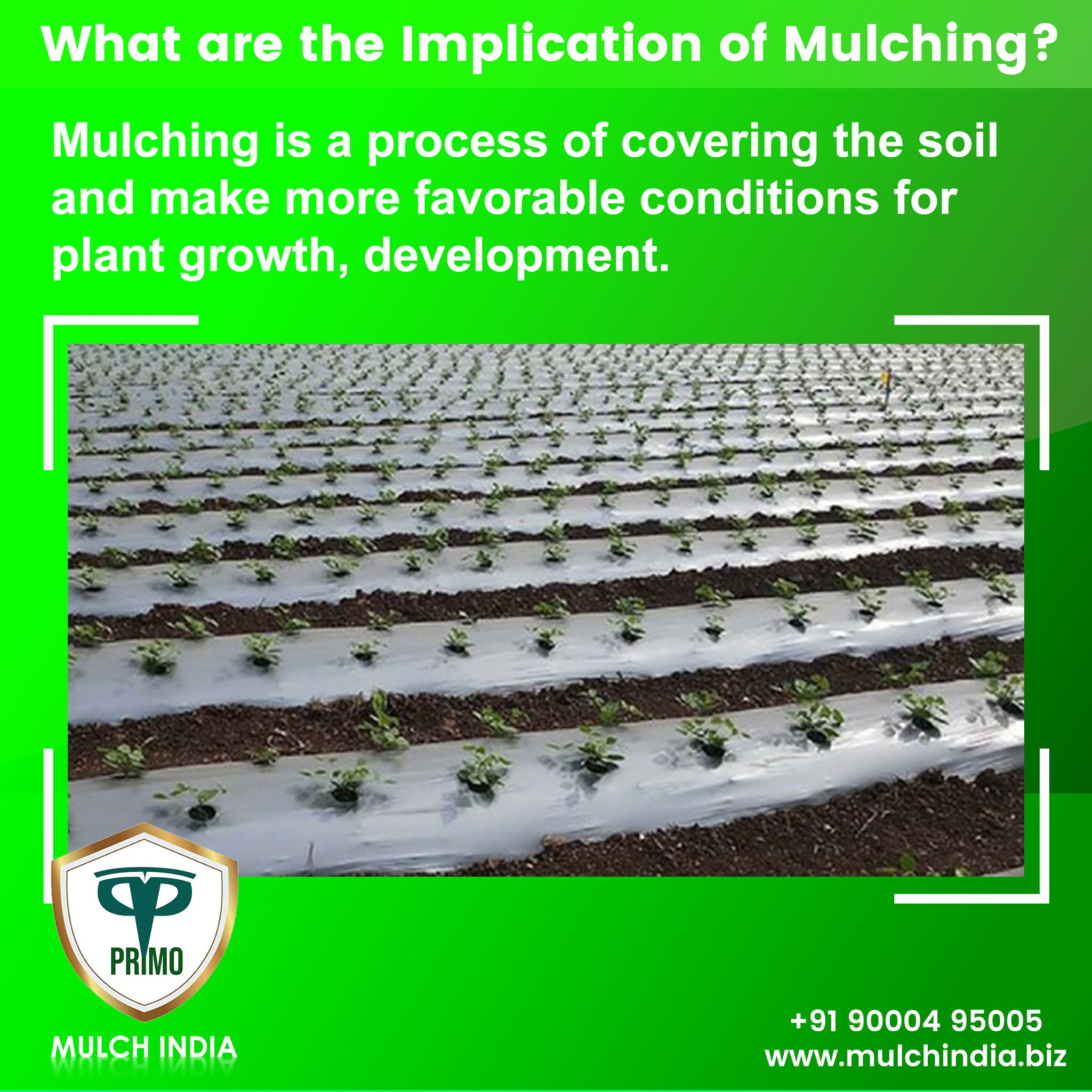 MulchIndia: What are the implications of mulching? Mulch India Call:+𝟵𝟭 ...