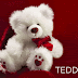 New 100+ 2019 Happy Teddy Bear Day status in Hindi and English