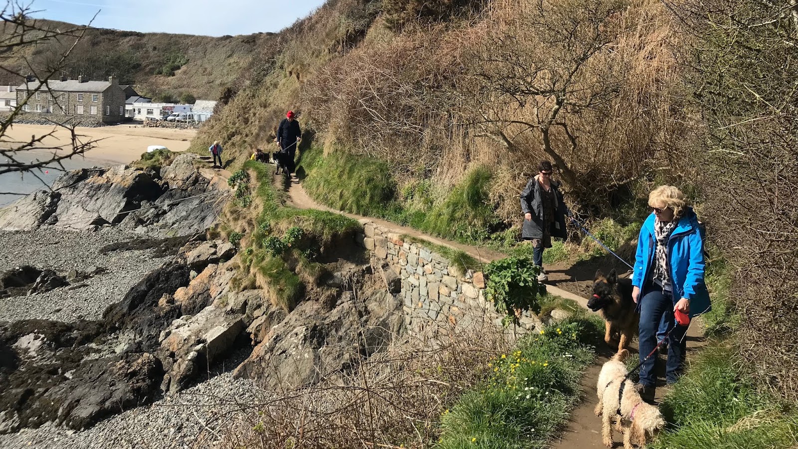 good dog trail