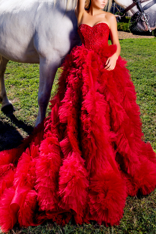 Glamorous Red Gowns