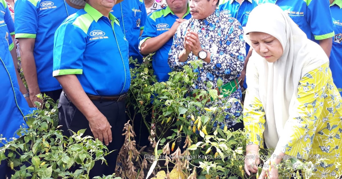 Berita Pertanian Terbaru Indonesia dan Dunia Hari ini