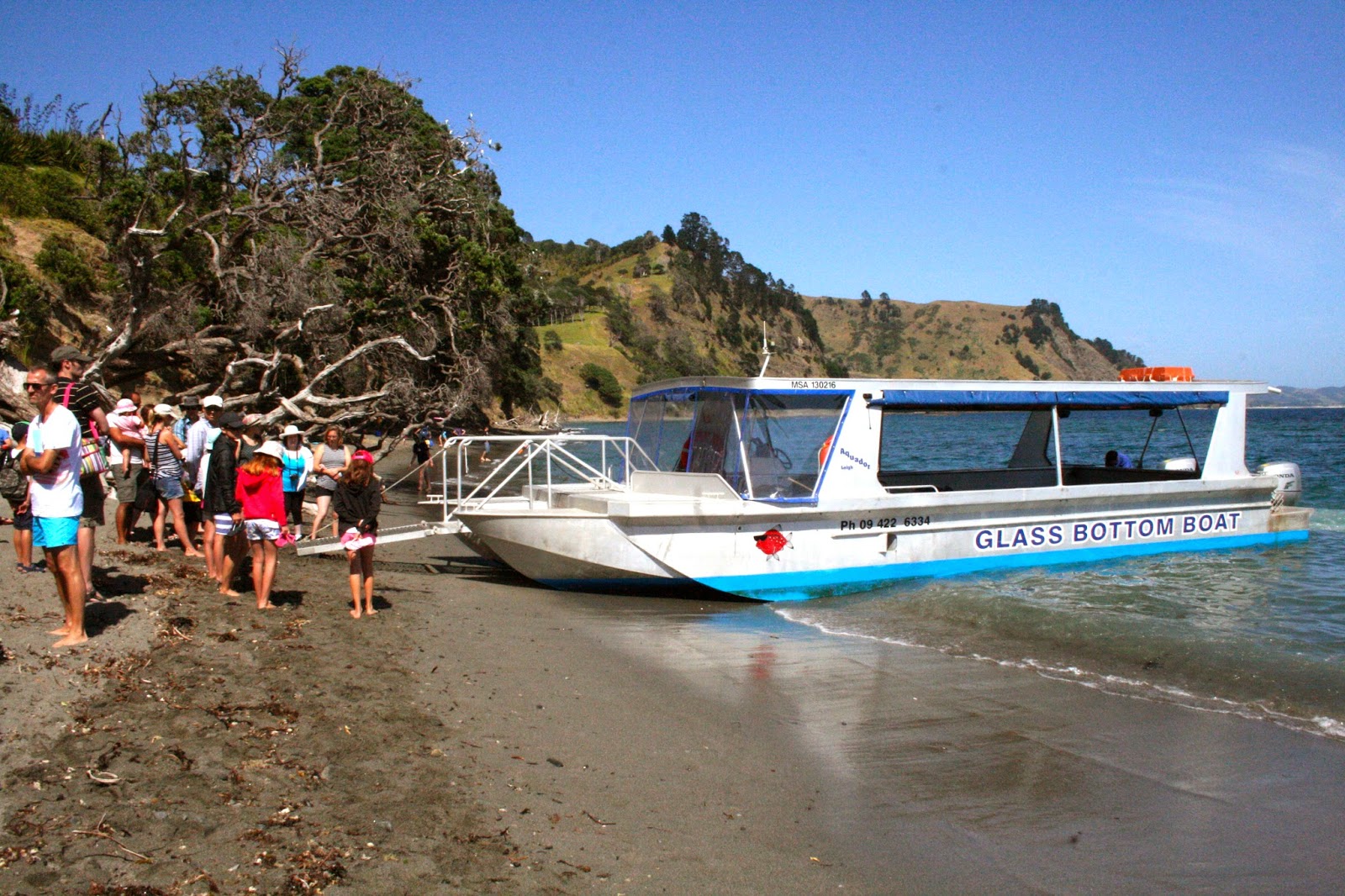 Take On Takapuna Glass Bottom Boat, Goat Island Marine Reserve