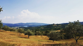 The countryside around Mugello in northern Tuscany, the historic region north of Florence