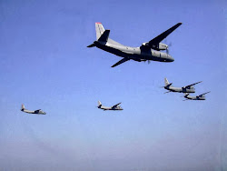 fly birds shape why horvath istvan