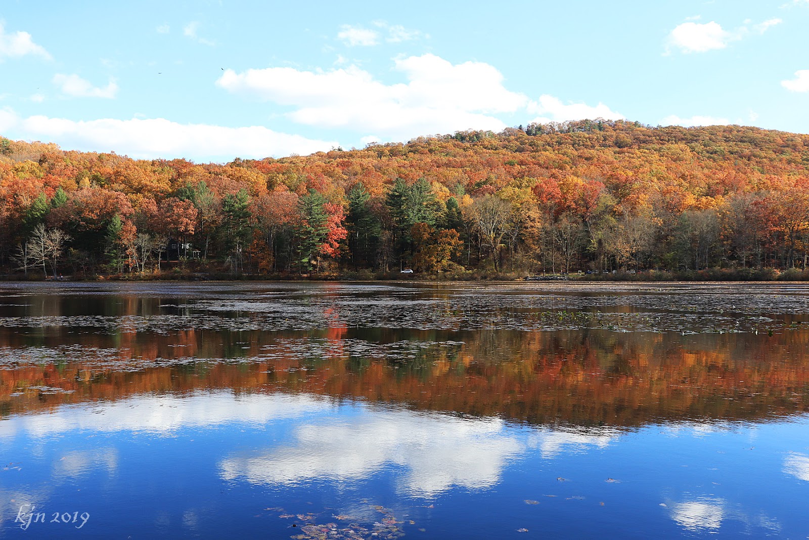 The Outskirts of Suburbia: Autumn at Laurel Lake
