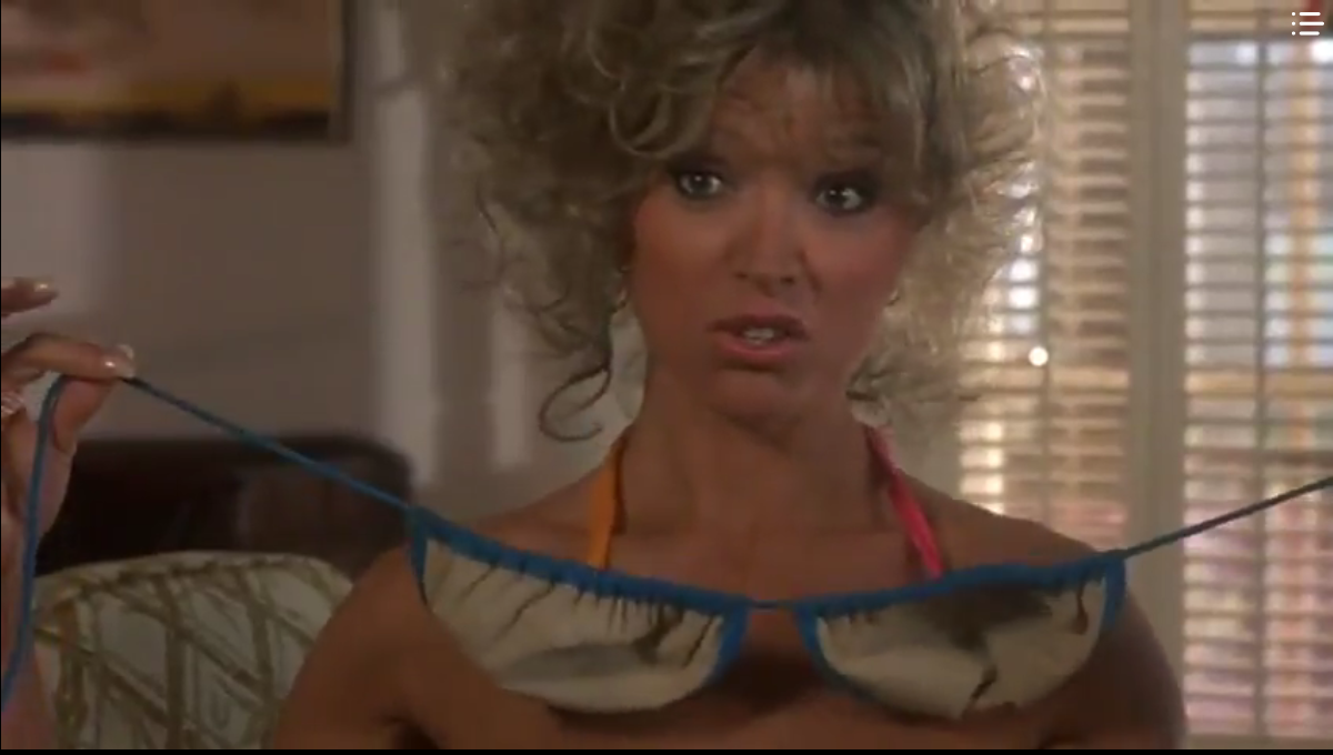 Cody's Film, TV, and Video Game Blog: Summer Rental (1985)