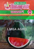 Semangka Danish, Semangka Danish F1, Benih Semangka Danish, Bibit Semangka Danish, Harga Benih Semangka Danish, Jual Benih Semangka Danish, Tanam Semangka Danish, BCA, Bintang Citra Asia, Lmga Agro