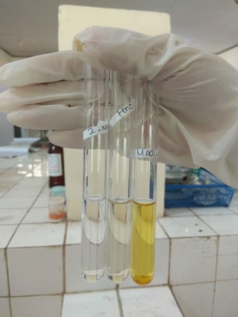 Kimia Bahan Alam: LAPORAN PRAKTIKUM REAKSI-REAKSI ALKOHOL DAN FENOL