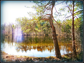 Lago del Monadnock State Park (NH)
