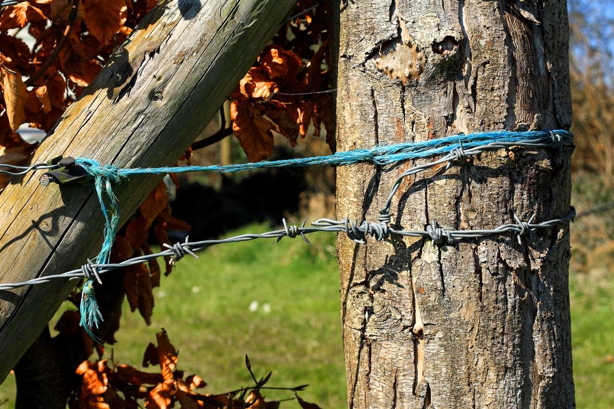 YAK YAK The many uses of binder twine part 2