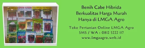 cara menanam cabe rawit, cabai, tanaman cabe, jual benih cabe terbaik, toko pertanian, toko online, lmga agro