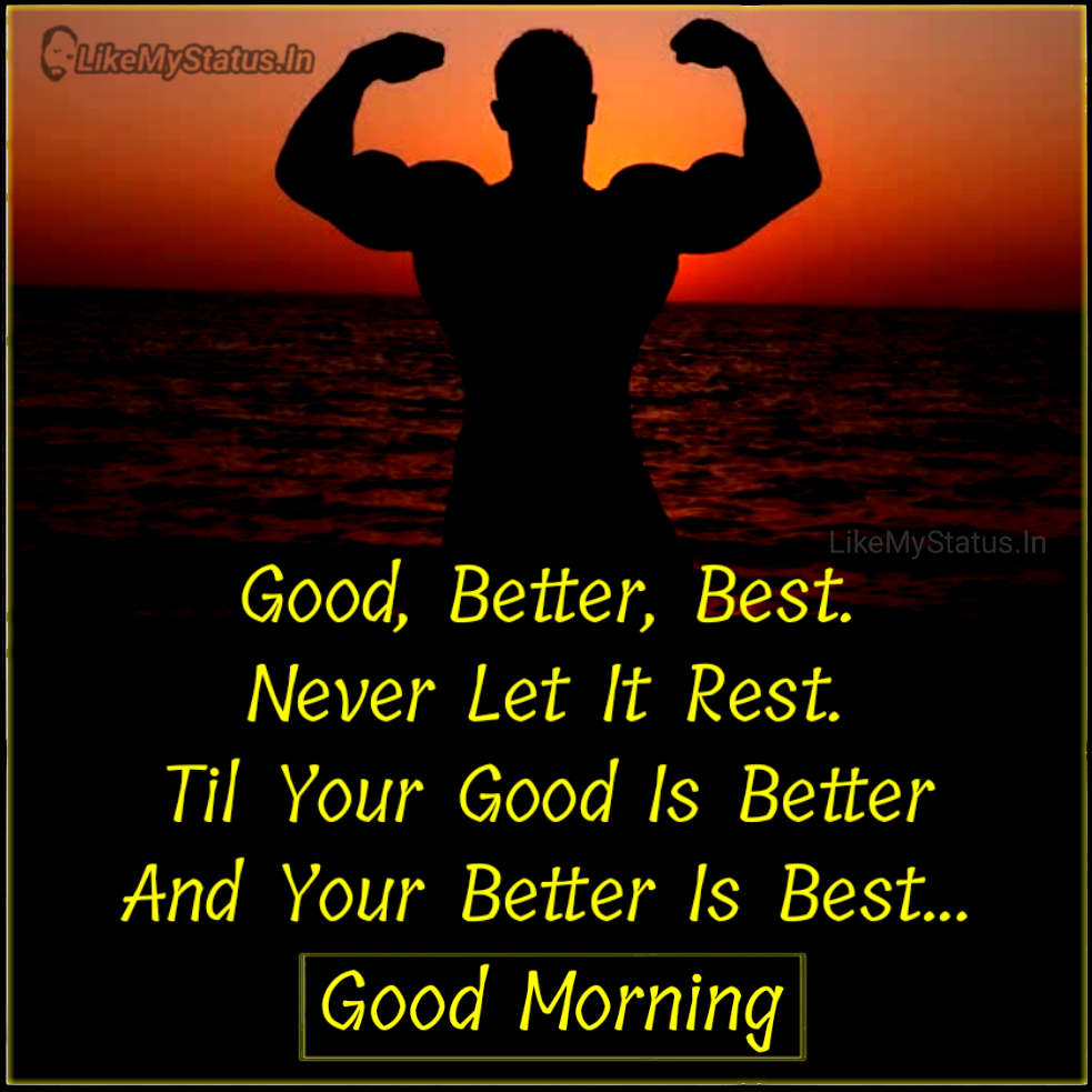 Gym Quotes Best Gym Motivation Quotes Bodybuilding Quotes 2020