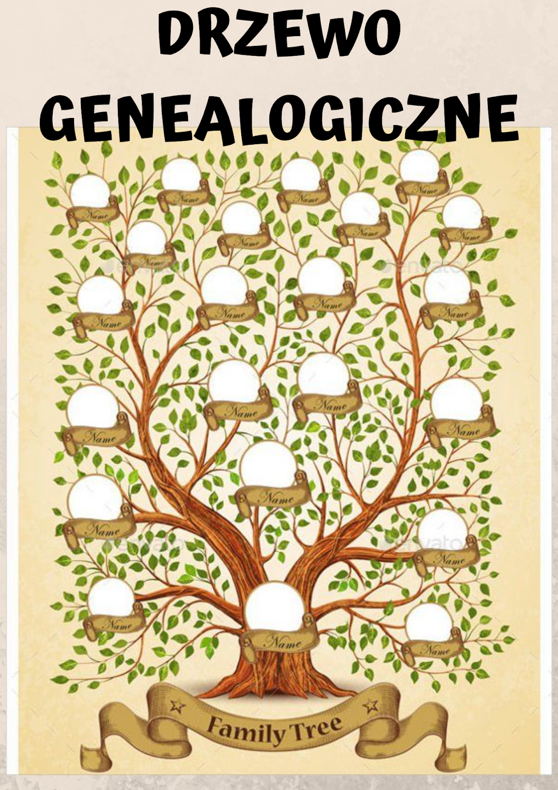 przedszkole-w-piasku-drzewo-genealogiczne-je-yki-i-s-wki