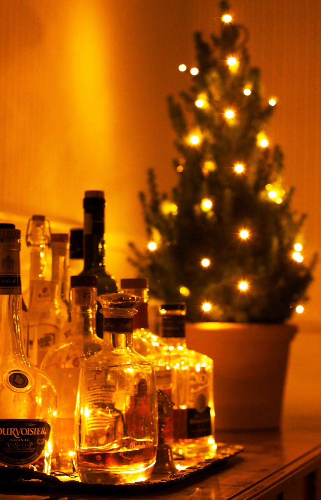 LateinLifer Vacker jul