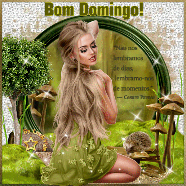 Novo28-%2B%2528MB%2529maryluz.gif