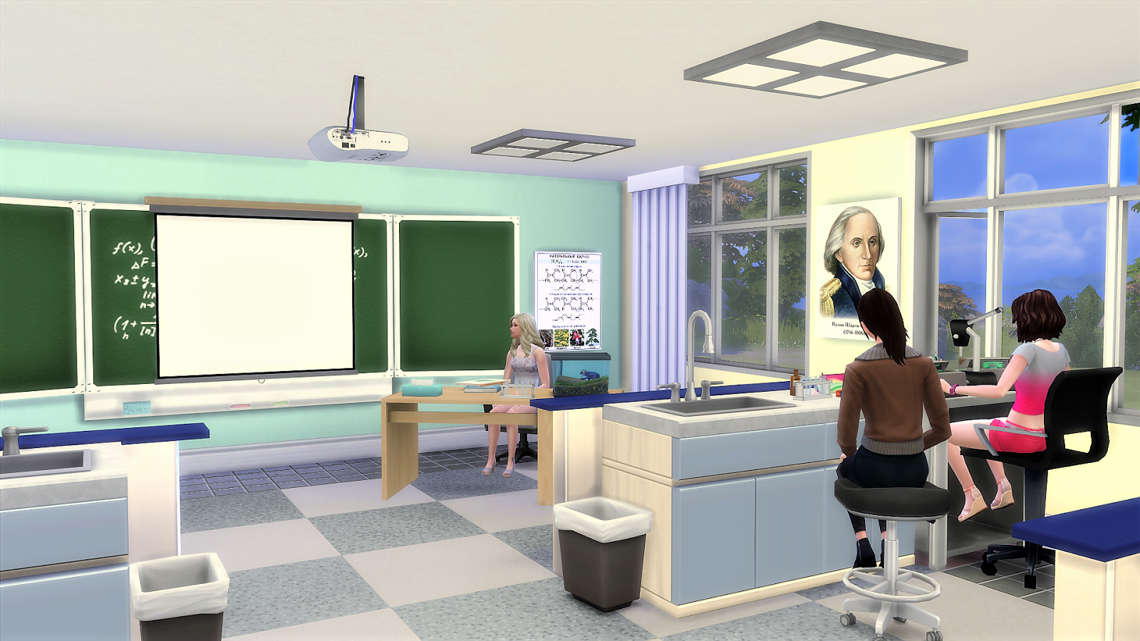 Capita SIMS
