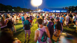  Preparing the ranks to be a Related Party in the Constitutional Court