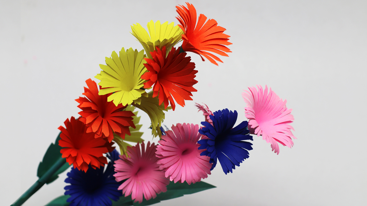 How flowers get their color story image