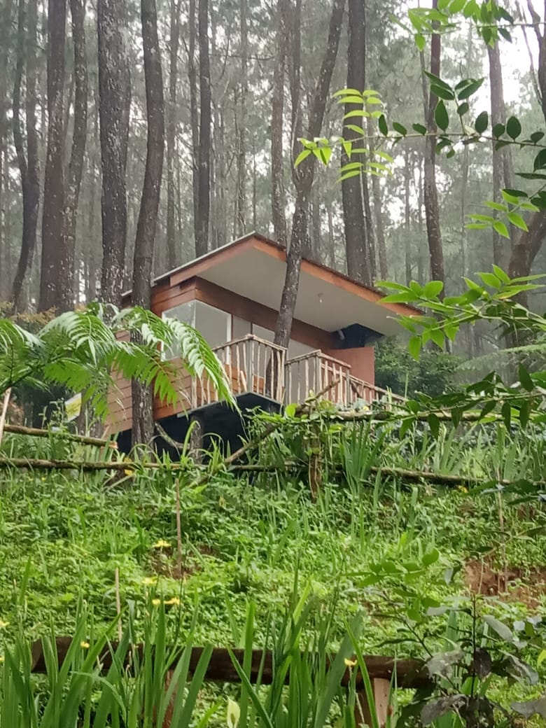 Kampung Rimba Camp & Outbound, Tempat Camping Nuansa Alam ...