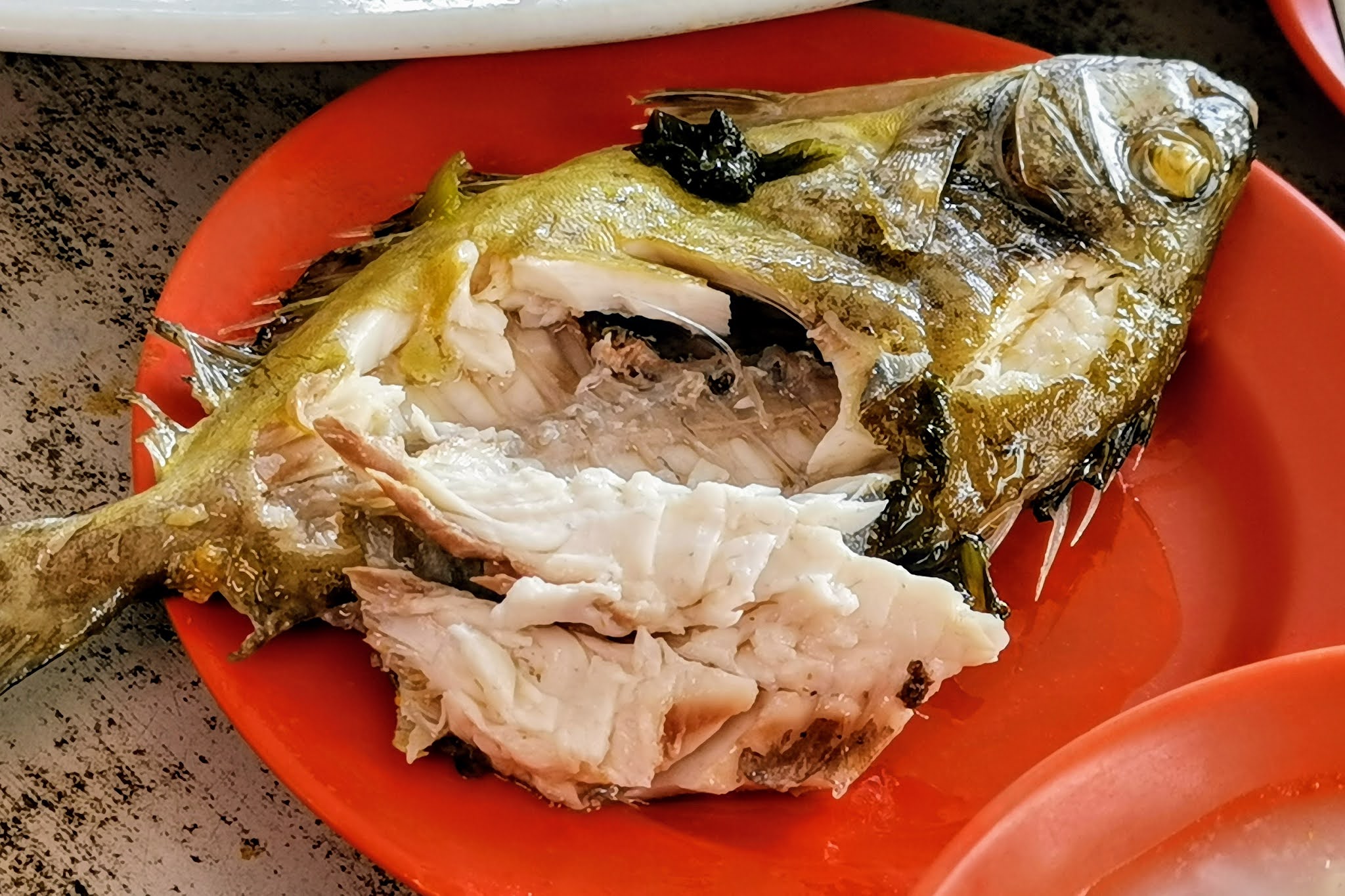 Flowers eat rabbits eating rabbit baby won plant bunnies getty ehow wont istock Why do Teochew Eat Rabbit Fish During Chinese New Year? 白肚鱼 🐟 拜年鱼 |Tony