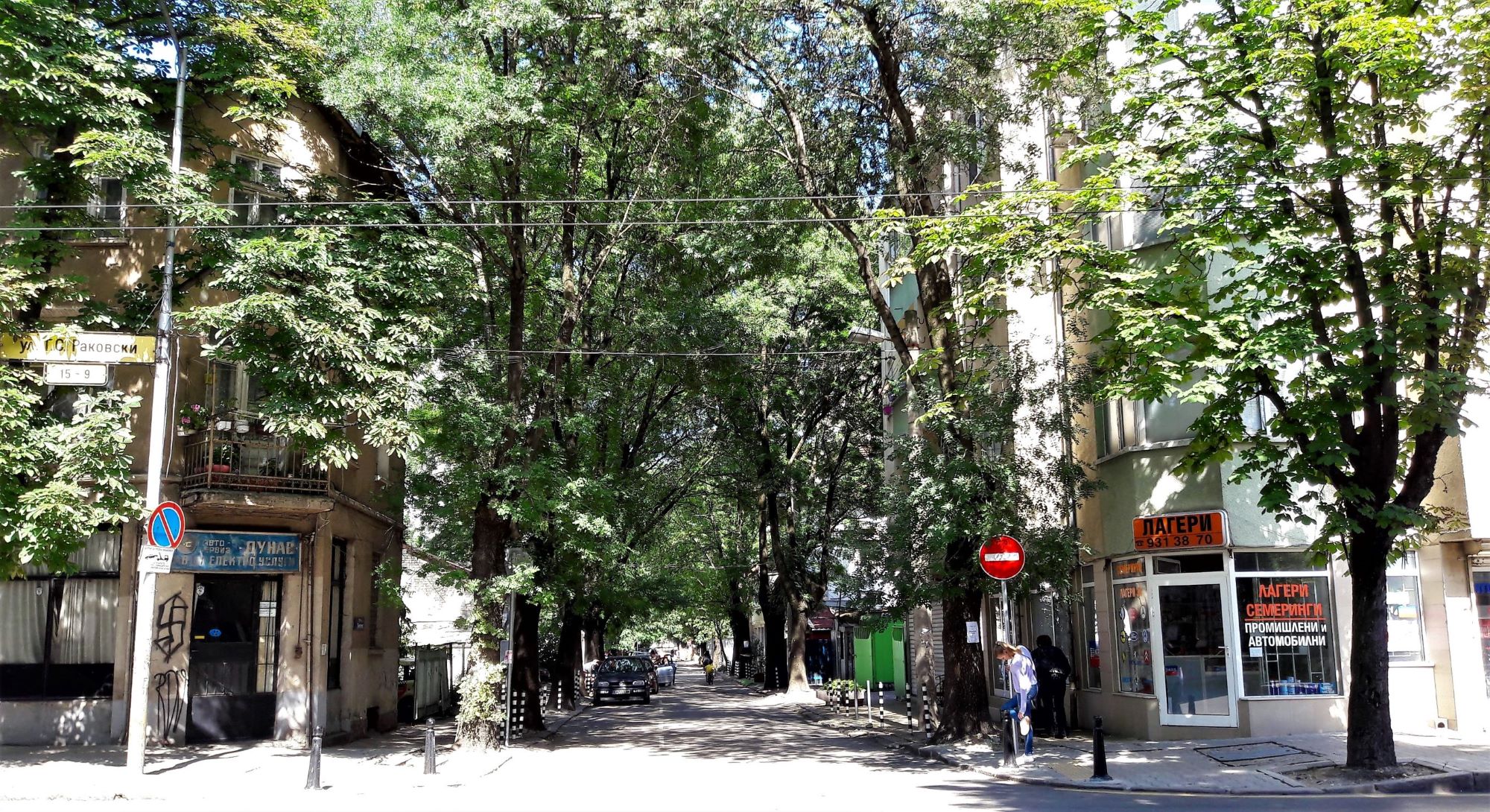 A local street of Sofia full of big trees on both sides