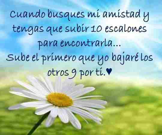 Palabras encantadoras y reflexivas para compartir Palabras encantadoras y reflexivas para compartir