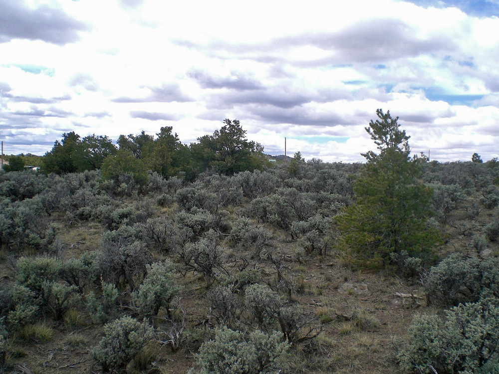Colorado Vacation Land Property 4