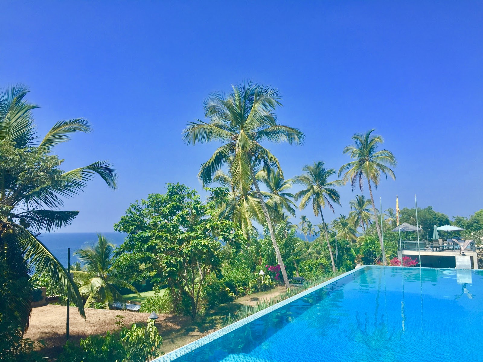 Daydreaming by Daisy's guide to Sri Lanka: Lanka Eco Village, Unawatuna