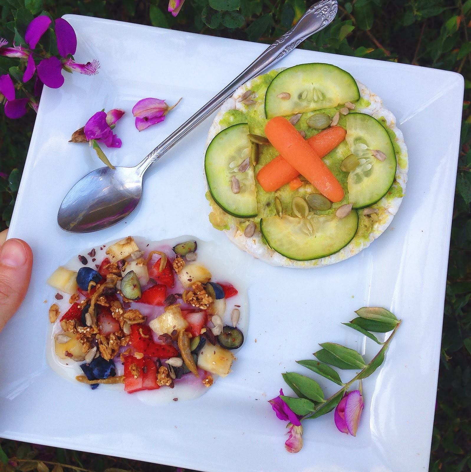 Diet Food to GF Delicacy Rice Cakes Four Ways (Gluten Free, Vegan)