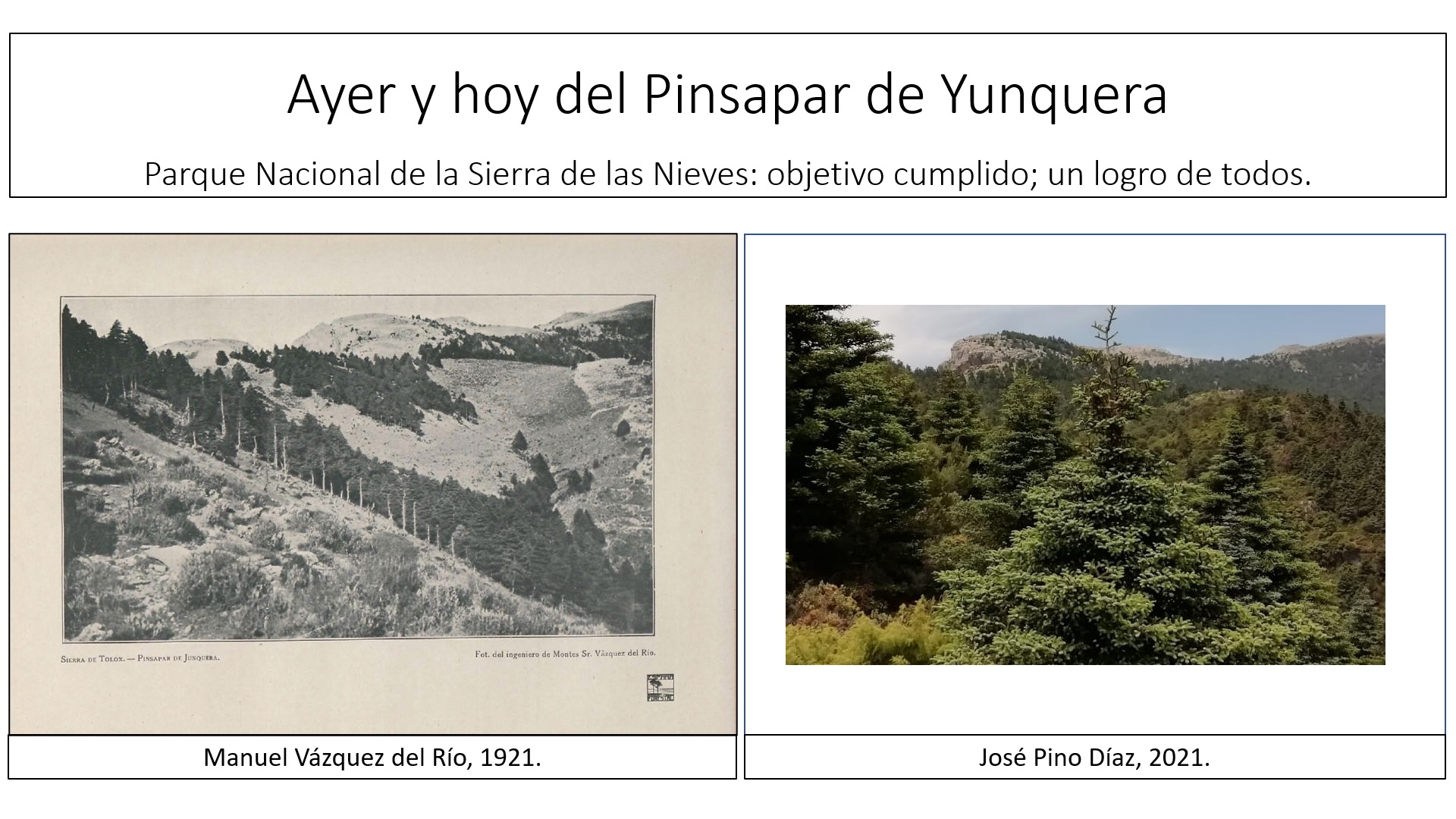 Ayer-hoy_Pinsapar_Yunquera.jpg