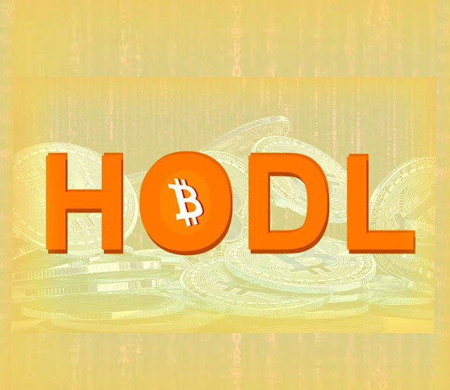 crypto currency news hodl