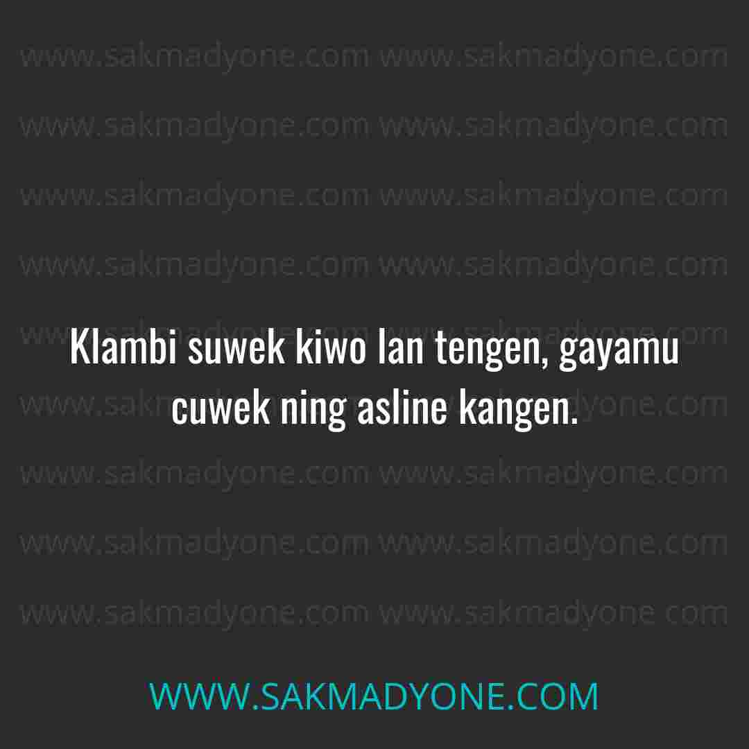 30+ Parikan Jowo Tresno Pantun Jawa Romantis terbaru