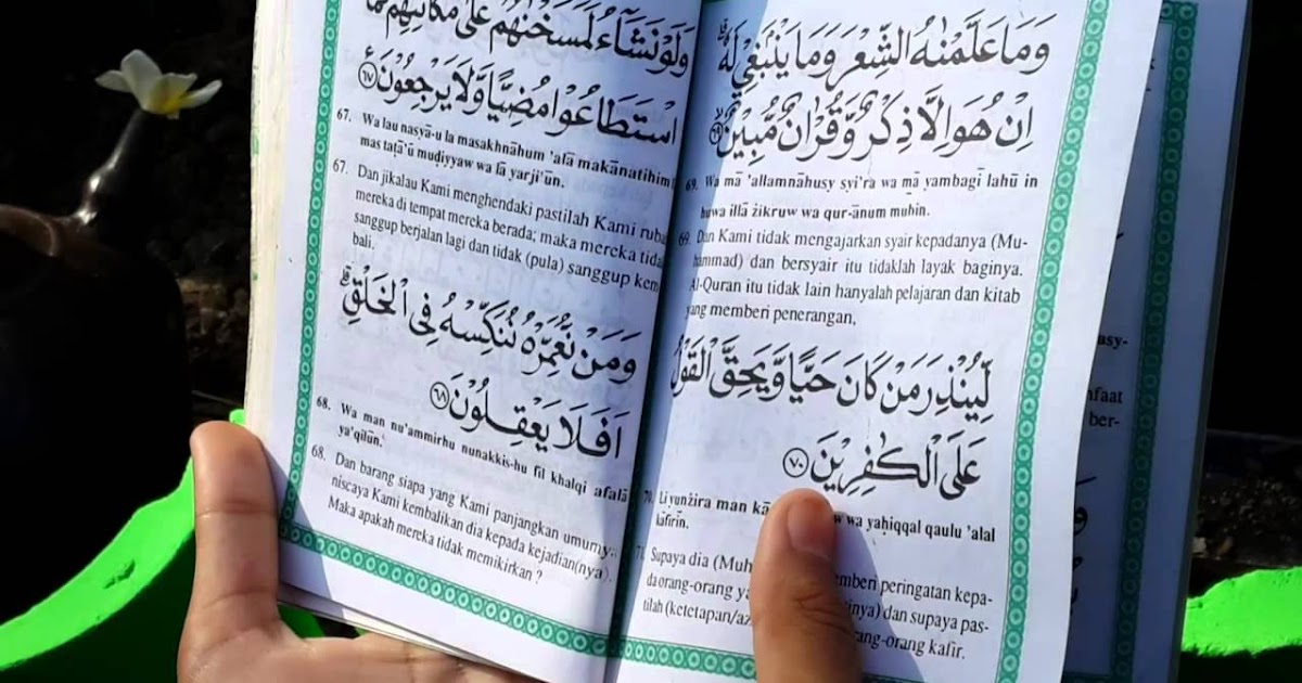 Kisah Pahala Surat Yasin Di Hari Jumat Yang Dirasakan Ahli Kubur
