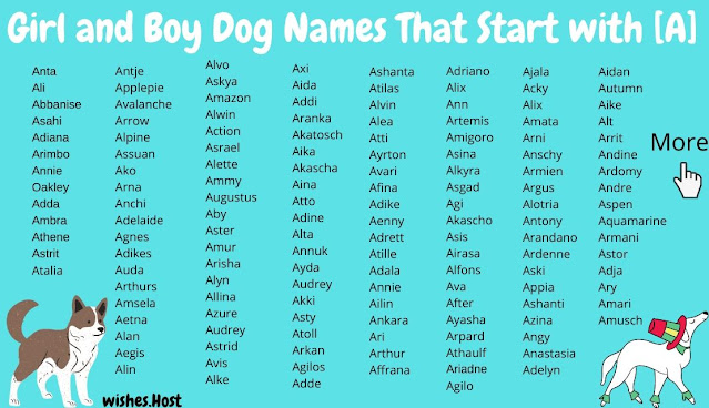 Girl and Boy Dog Names That Start with A