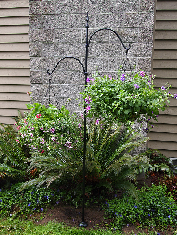 The Northern West Virginia Gardener: Shepherd’s hooks