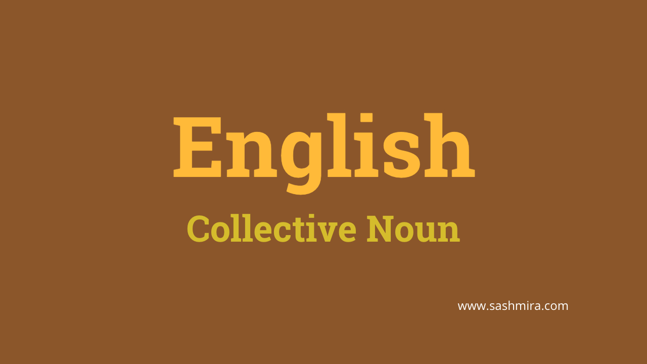 PSC English Collective Noun
