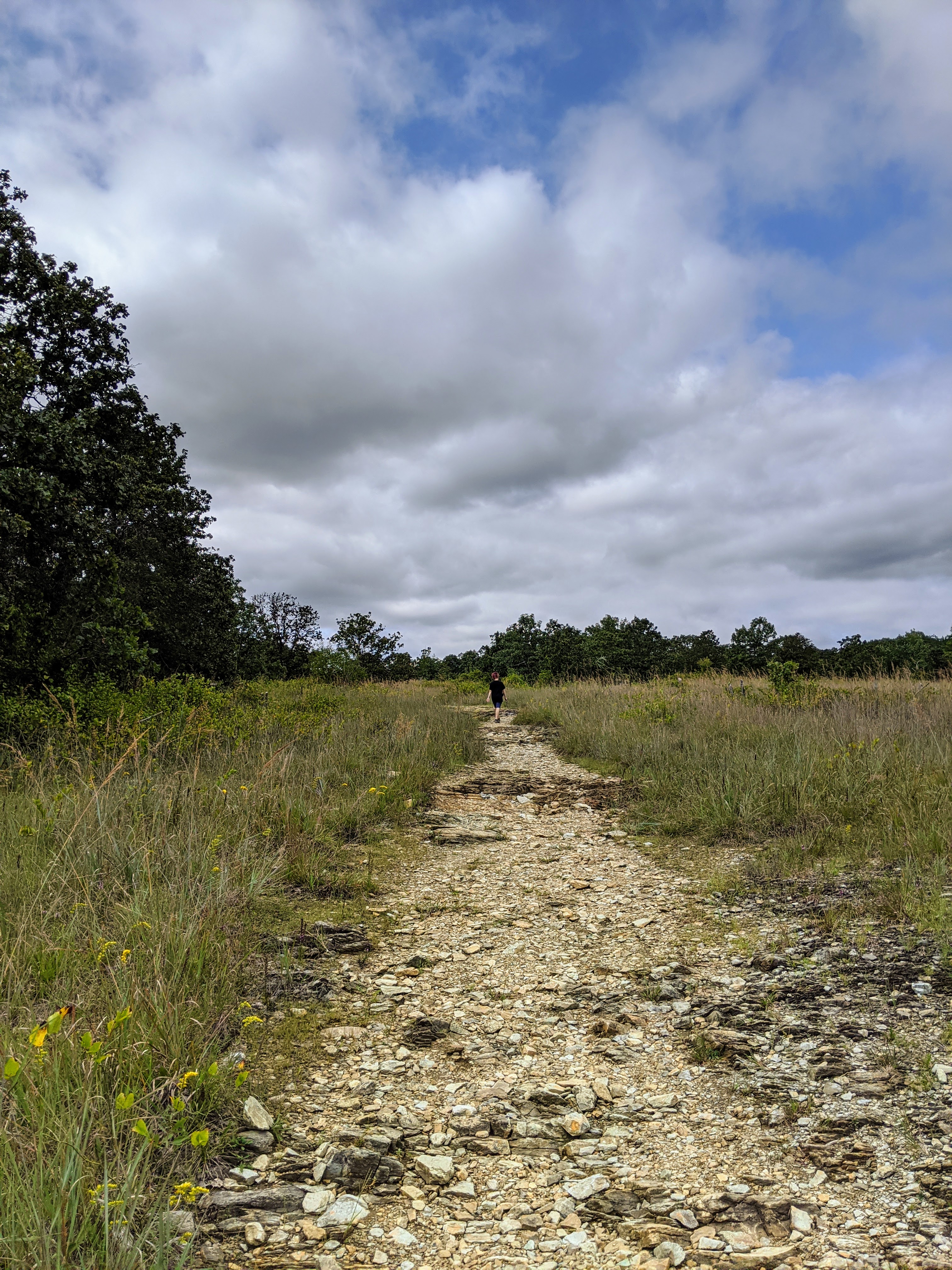 Natural MidAtlantic MD Soldiers Delight Natural Environmental Area