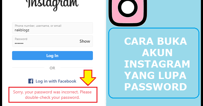 Cara Membuka Instagram Yang Lupa Password dan Email Dengan Mudah - Nak