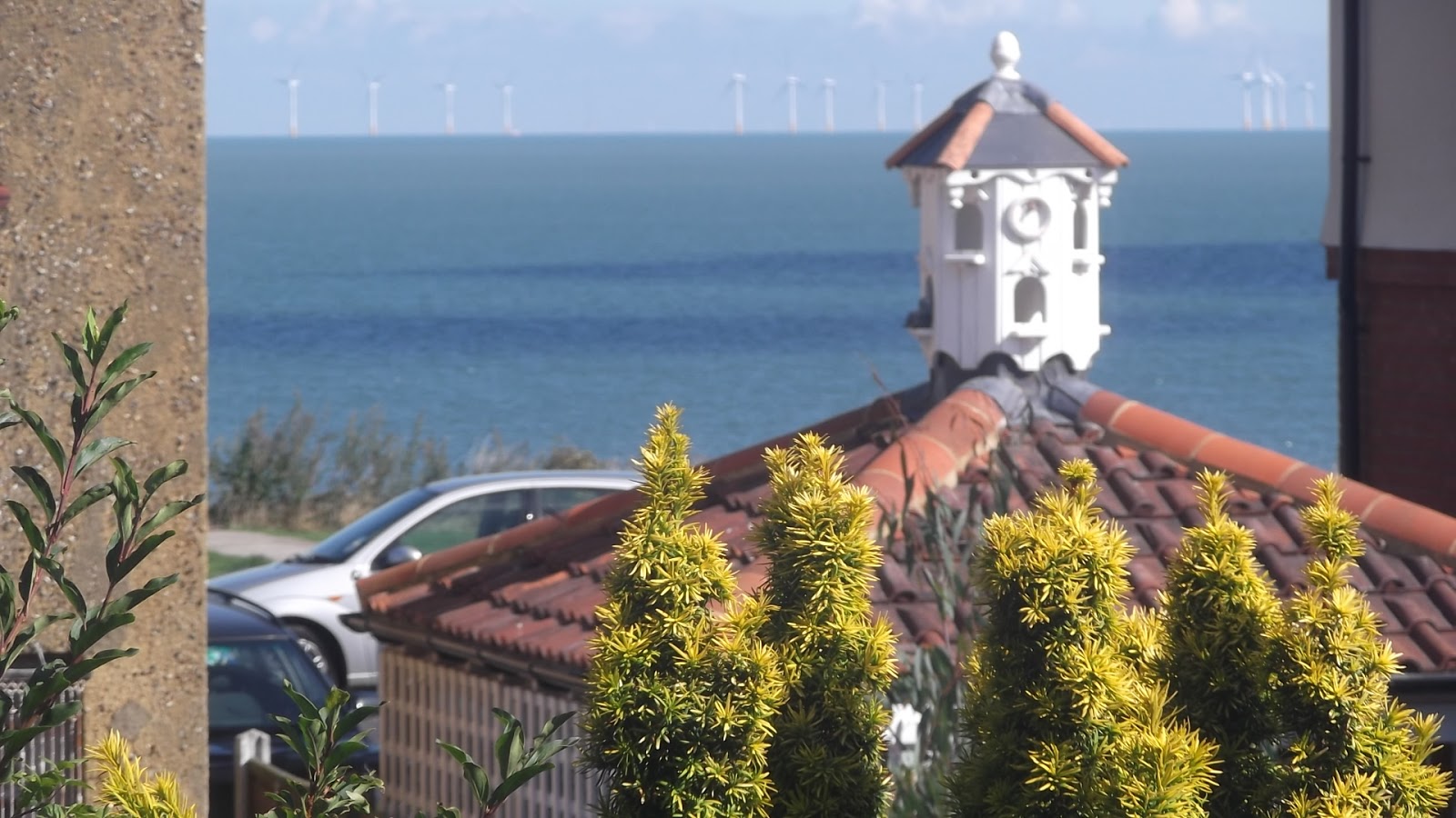 Treasures from the Cherry Tree Staycation