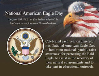 National American Eagle Day HD Pictures, Wallpapers