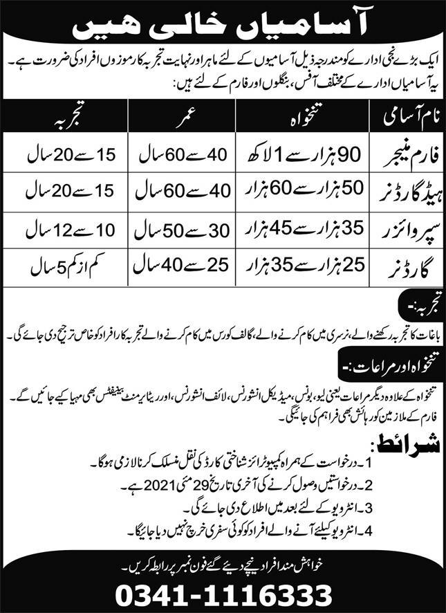 Large Private Institute Jobs 2021 in Pakistan Large Private Institute Jobs 2021 in Pakistan