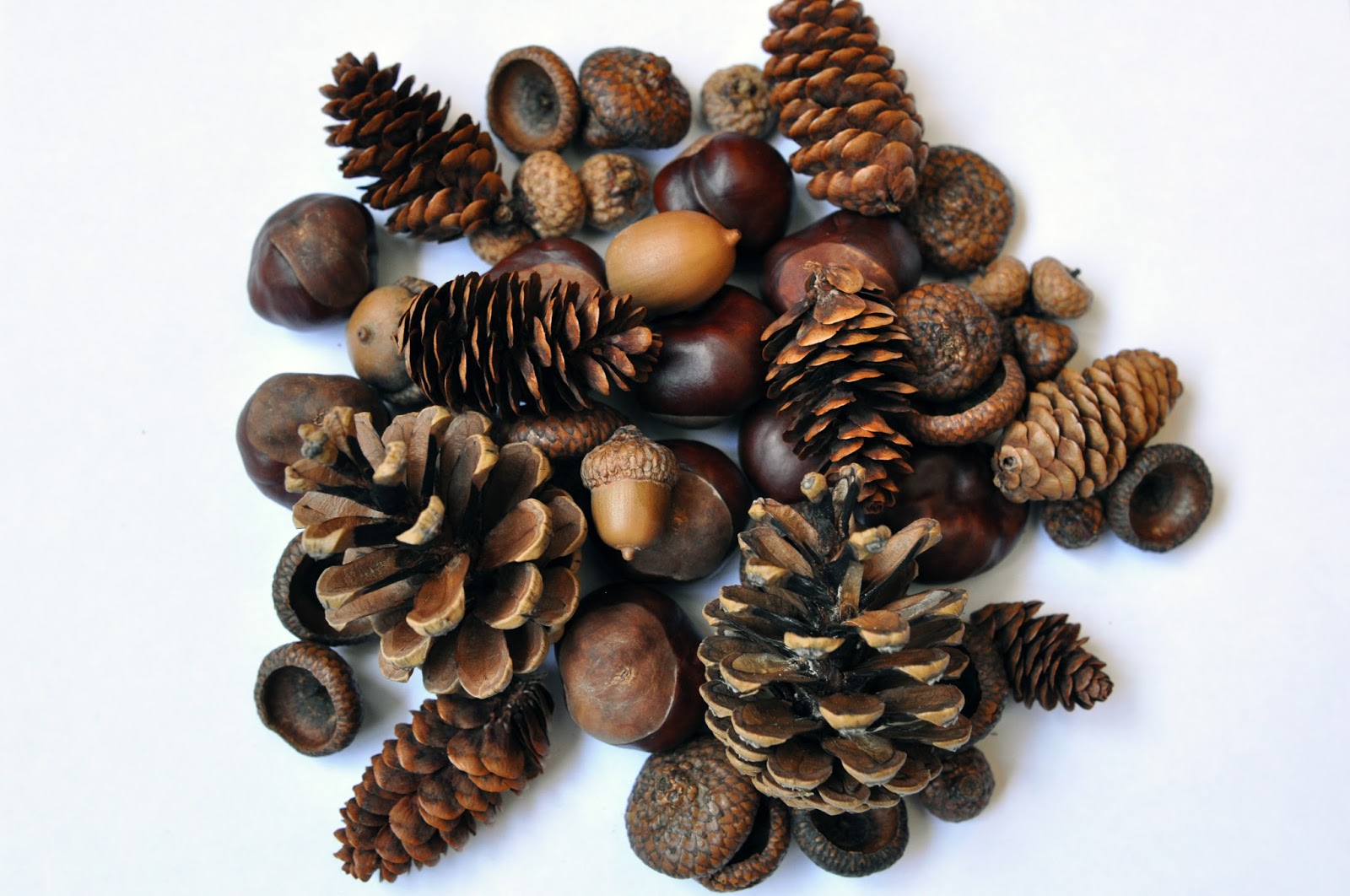 декор из природных материалов. сенсорная коробка из природных материалов. игра шишки желуди орехи. природные материалы для творчества. природный материал используемый.