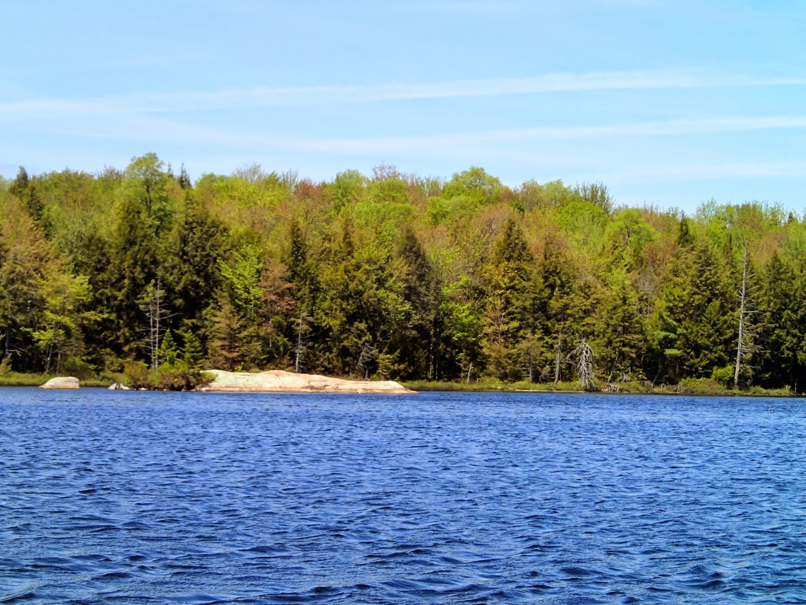 Quiet Kayaking in New York State Francis Lake 2014, Part One