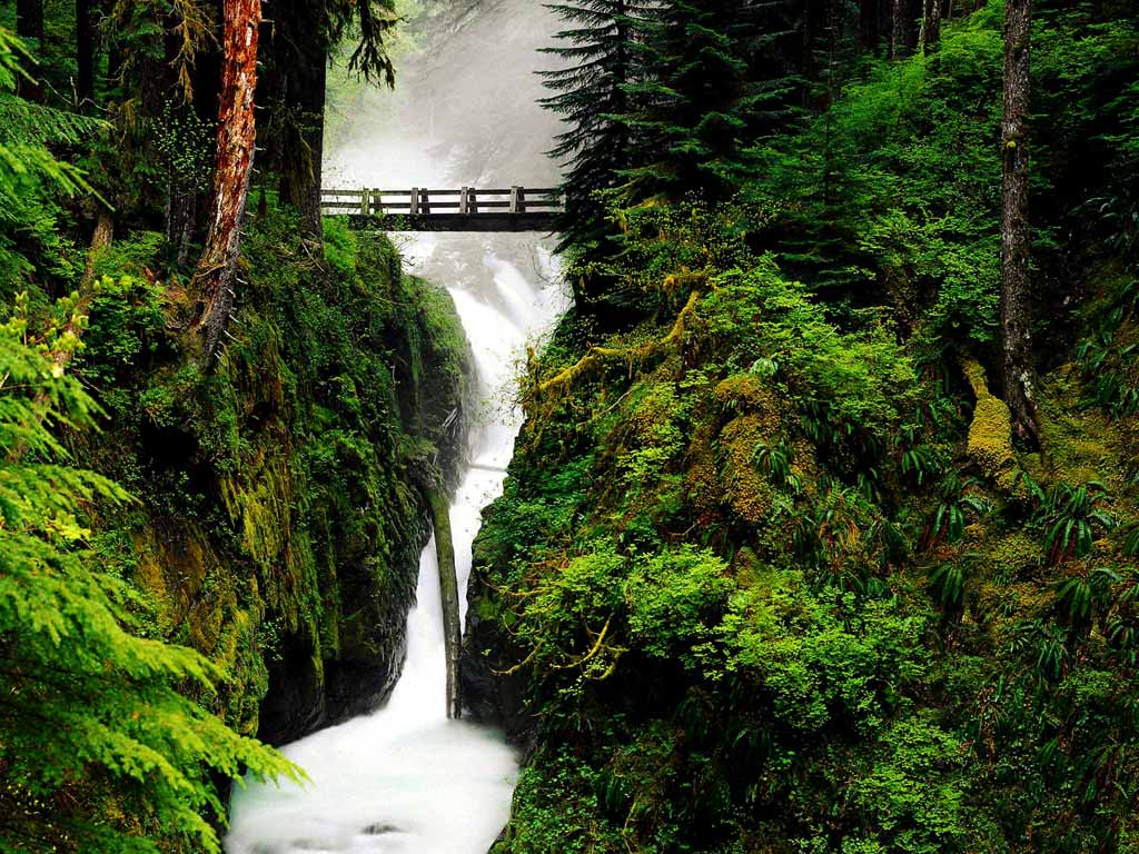 Green Nature