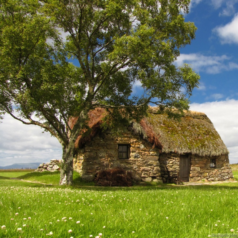 Beautiful Nature Profile Pictures Top Profile Pictures Display Pictures