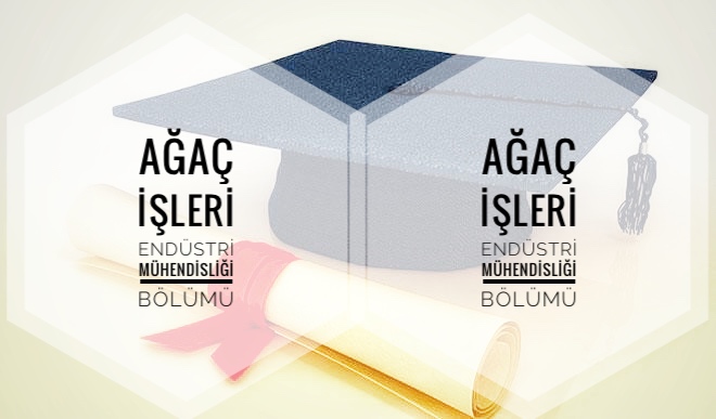 Ağaç İşleri Endüstri Mühendisliği Nedir Ne İş Yapar? Üniversite