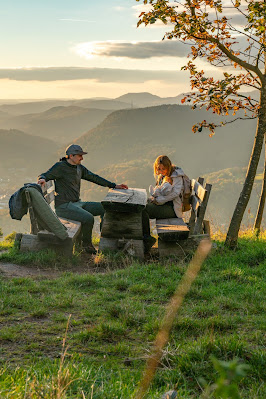 Birkweiler Rundwanderweg Hohenberg | Wandern Südliche Weinstrasse | Landau-Land 20