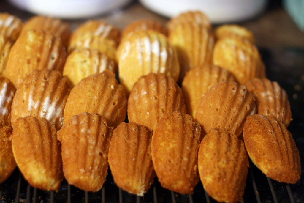 French Madeleines At Home