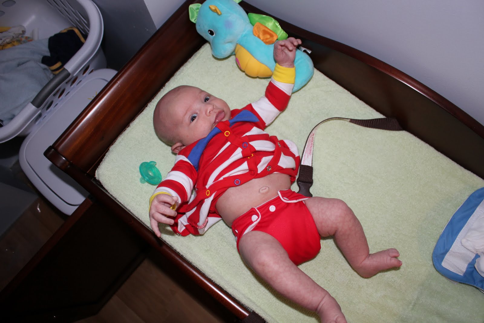 Lanes On Long Island Cloth Diapering a Newborn 6 Weeks