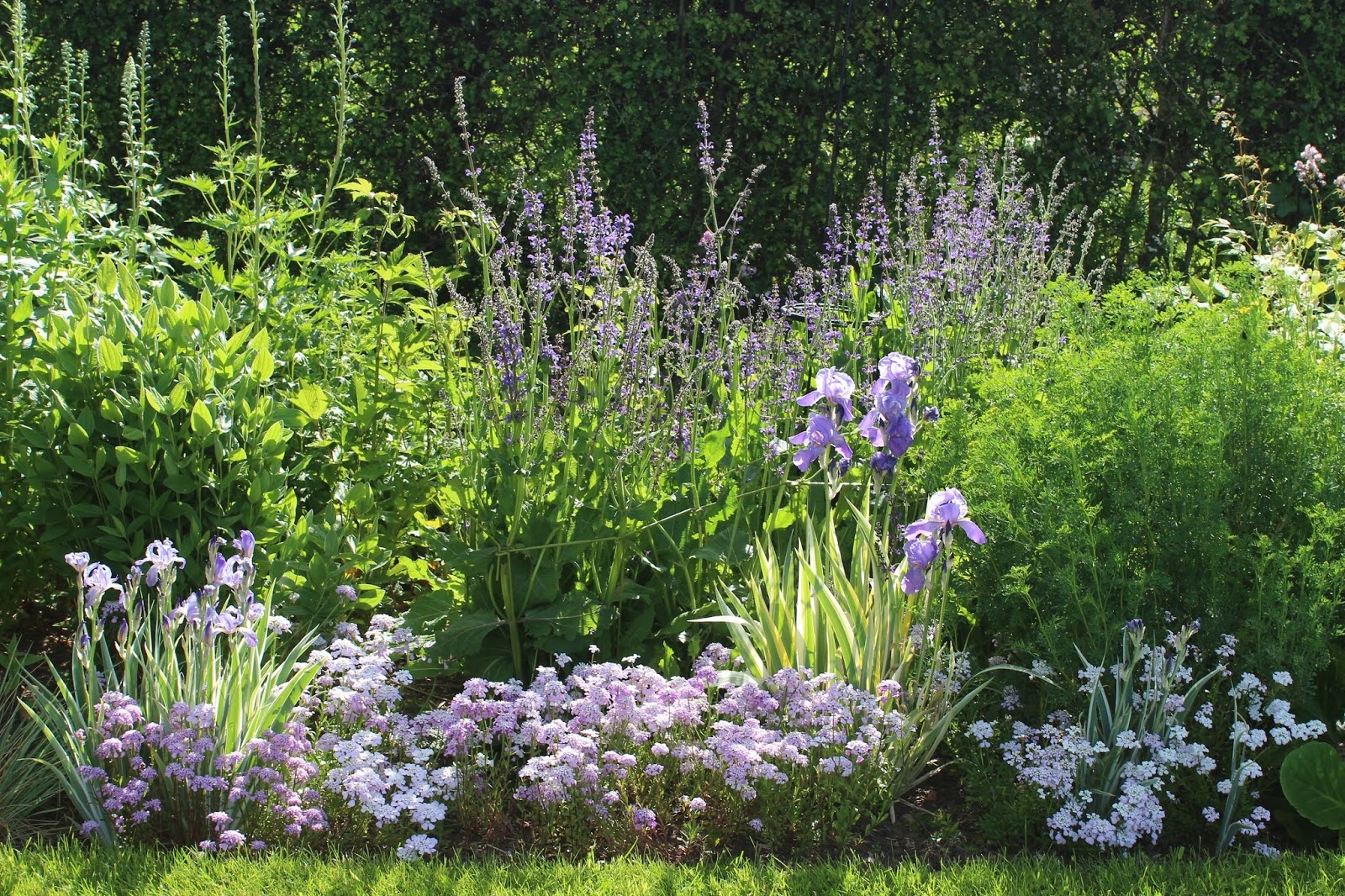 THE GERTRUDE JEKYLL LONG BORDER IN JUNE THE GERTRUDE JEKYLL LONG BORDER IN JUNE